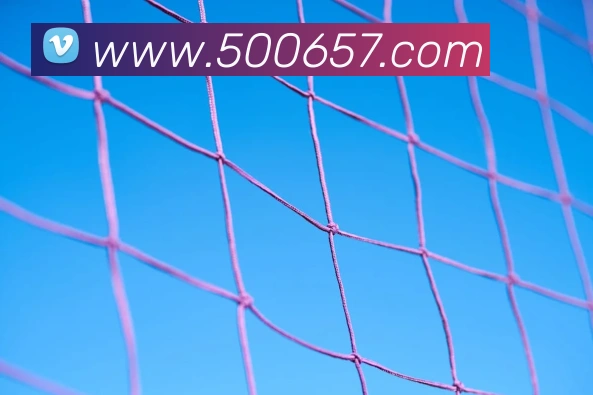 500彩票网官方APP 封面图